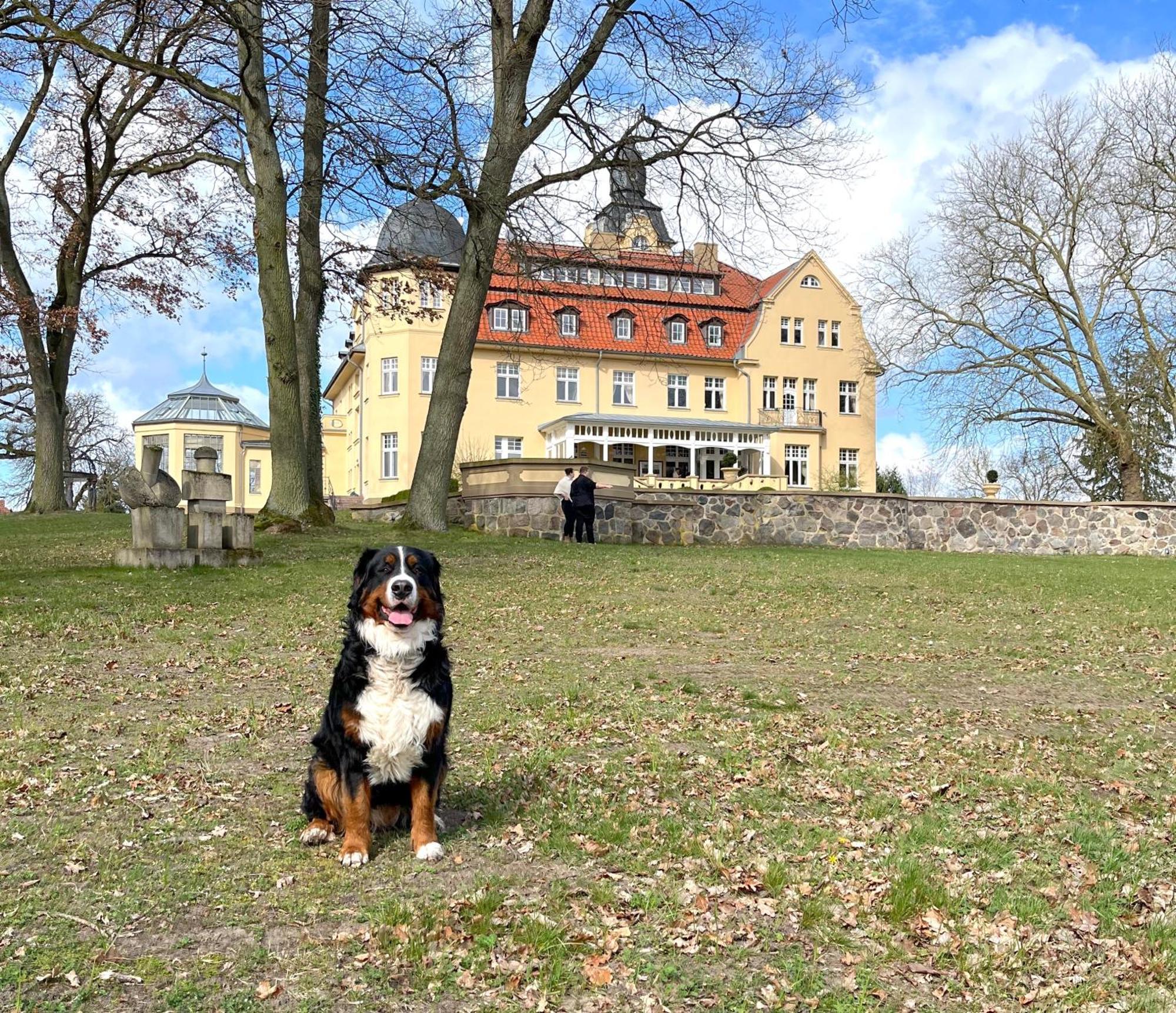 Bernsteinschloss Wendorf  Zewnętrze zdjęcie